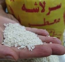 تصویر 2 از فروش استثنایی + قیمت مناسب برنج سرلاشه معطر